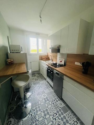 Appartement Saint Jean De La Ruelle 3 pièce(s) 52.05 m2