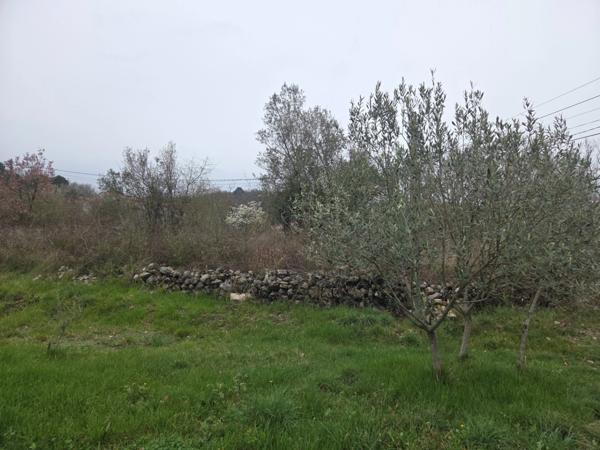 MEYRANNES (30) A vendre terrain d'une superficie de 9849m2 dont 868m2 à bâtir borné récemment et châtaigneraie.