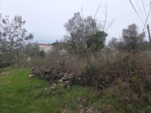 MEYRANNES (30) A vendre terrain d'une superficie de 9849m2 dont 868m2 à bâtir borné récemment et châtaigneraie.