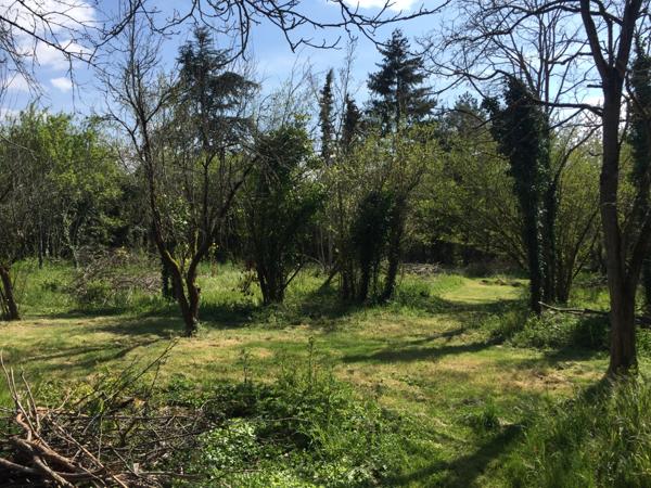 TERRAIN A BATIR - MONTAMISE Montamisé (86360)