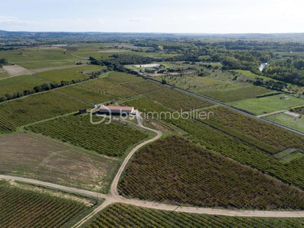 Exploitation viticole de 400 m²