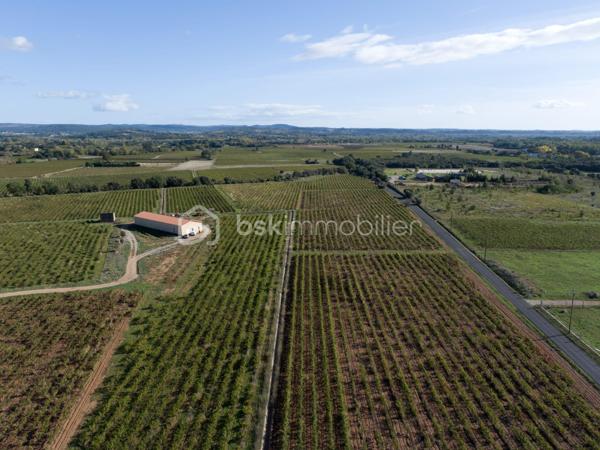 Exploitation viticole de 400 m²