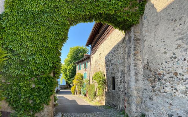 Terrain à vendre    Nernier