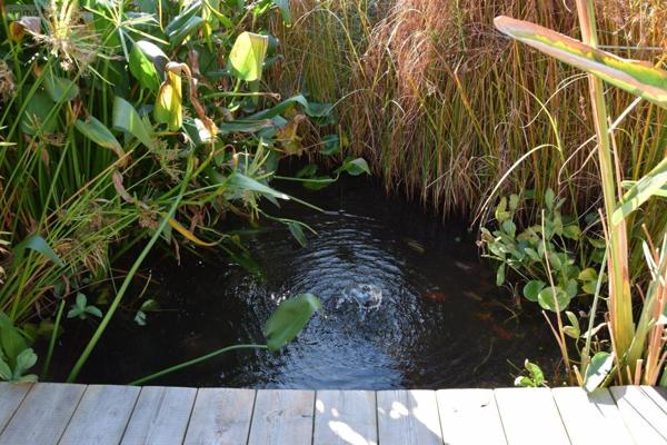 Maison à vendre à Trégunc dans le Finistère (29910), ref : MAIS/1077   
Mer et Plages