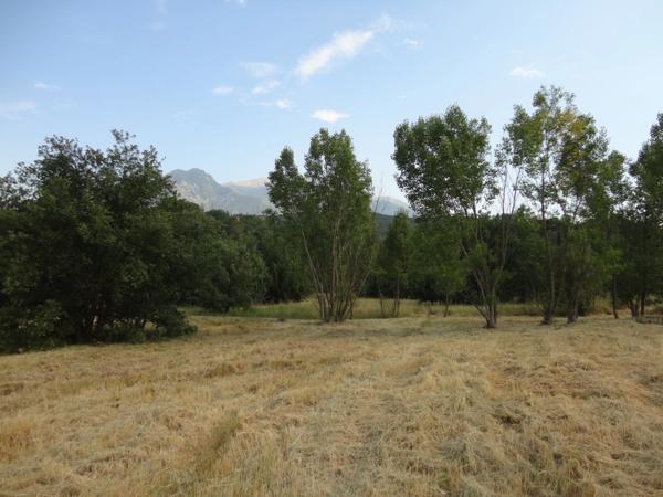 Dpt Pyrénées Orientales (66), à vendre PRADES Terrain constructible 269 m², 3 faces, libre constructeur