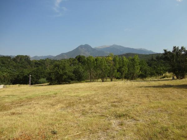 Dpt Pyrénées Orientales (66), à vendre PRADES Terrain constructible 269 m², 3 faces, libre constructeur