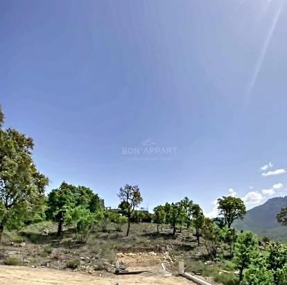Terrain
