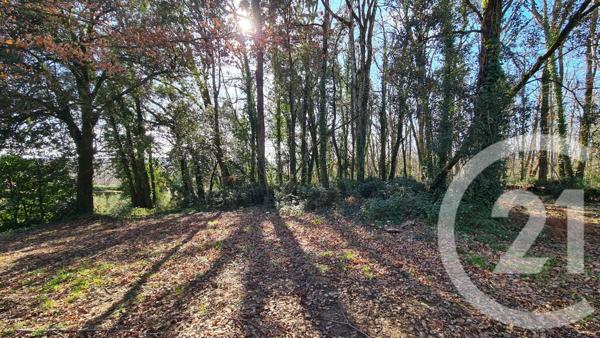 Maison à vendre  3 pièces - 87,03 m2 SALIGNAC EYVIGUES - 24