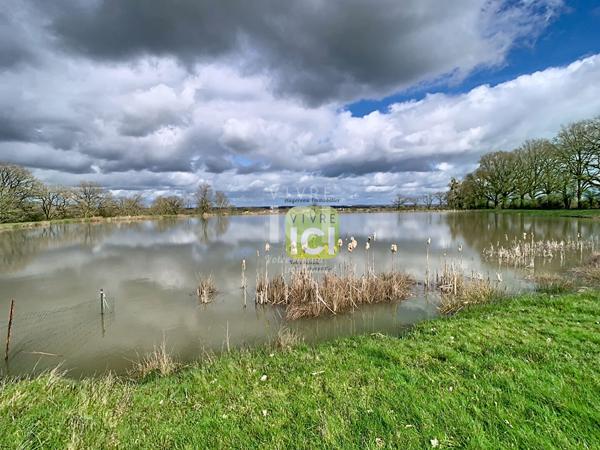 Etang La Romagne