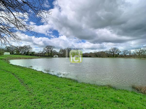 Etang La Romagne