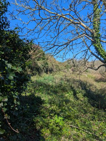 Maison Tredrez Locquemeau 7 pièce(s) 143 m2