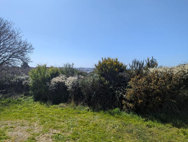 Maison Tredrez Locquemeau 7 pièce(s) 143 m2