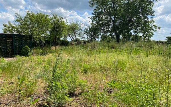 Maison à vendre    2 pièces •  Chantenay-Saint-Imbert