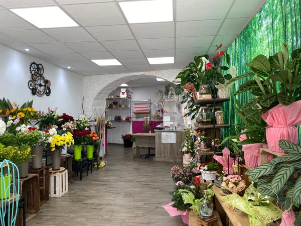 Joli Fonds de Commerce 47 m²