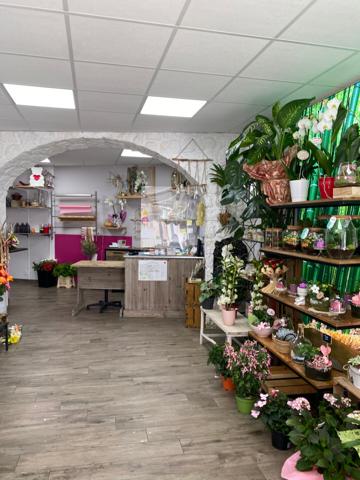 Joli Fonds de Commerce 47 m²