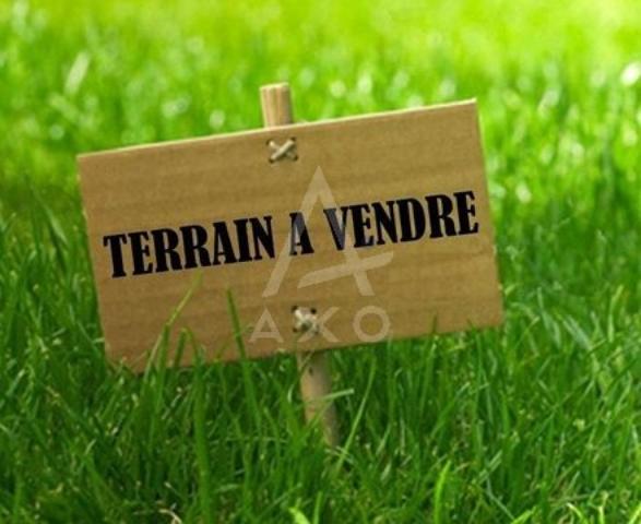 Terrain constructible de 257 m2