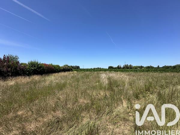Terrain à vendre 552 m² Saubrigues