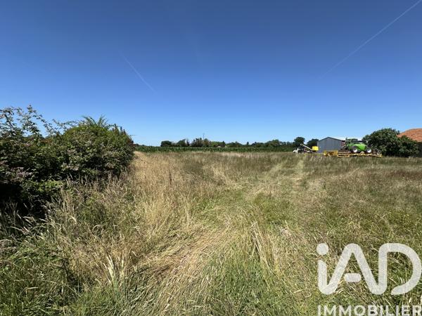 Terrain à vendre 552 m² Saubrigues