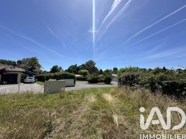Terrain à vendre 552 m² Saubrigues