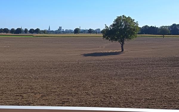 Appartement à vendre    3 pièces • 7 911 m2 Souffelweyersheim