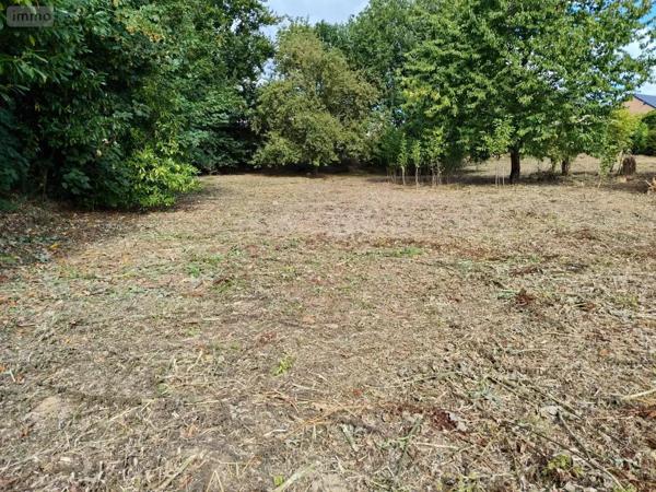 Achat - Terrain à bâtir Touffreville-la-Corbeline 76190 1409 m 2