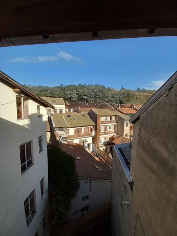Immeuble · Vente Tarare (69170) 149m²