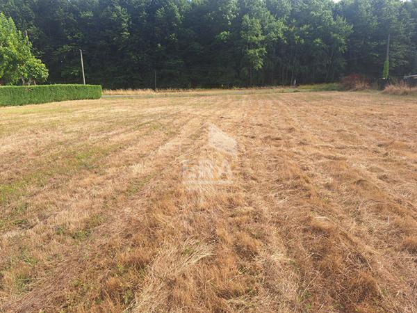 Terrain à 10 minutes de Montpon Ménestérol 2494 m2.