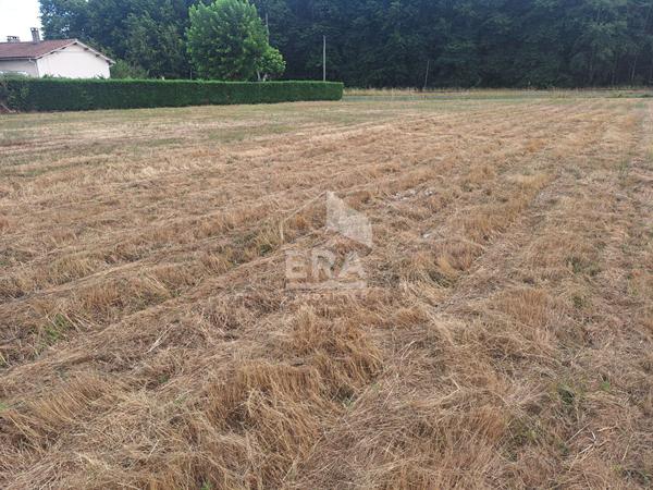 Terrain à 10 minutes de Montpon Ménestérol 2494 m2.