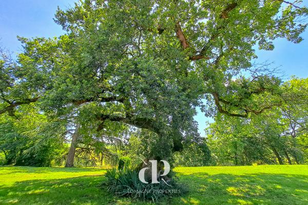 La Romieu (32480) Belle propriété de campagne sur 26 hectares