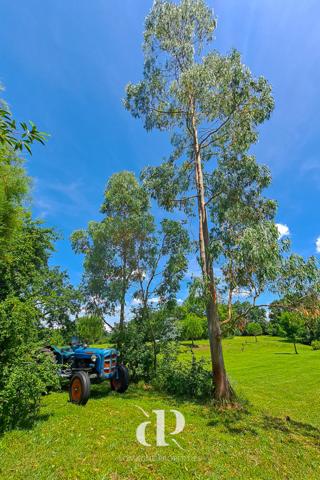 La Romieu (32480) Belle propriété de campagne sur 26 hectares