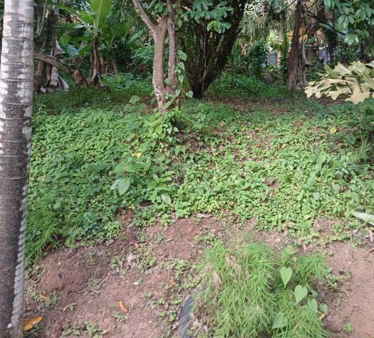 TERRAIN PLAT A FORT POTENTIEL