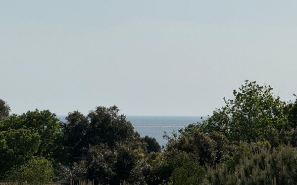 Appartement à vendre    3 pièces •  Vaux-sur-Mer