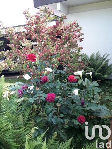 Maison à vendre 8 pièces 252 m² Saint-Jean-d'Illac