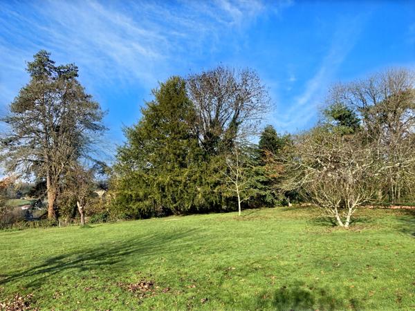 Maison à vendre à L'Isle-Jourdain (86150) - Vienne