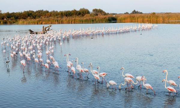Mauguio (34130) STUDIO CABINE PORT CARNON