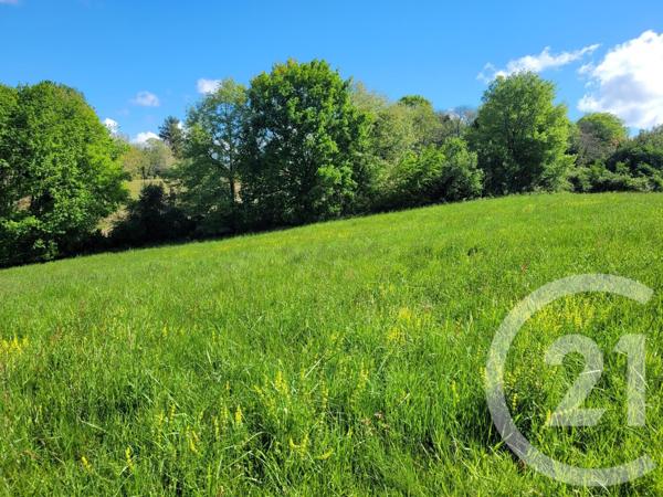 Terrain à vendre  6910 m2 THERMES MAGNOAC - 65