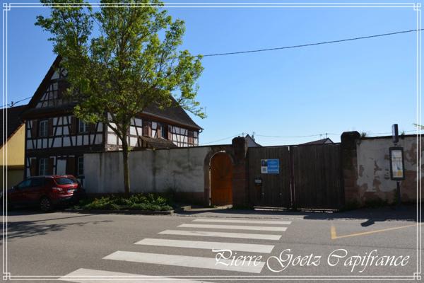 À vendre – Maison alsacienne de caractère à rénover avec terrain de 1062m² – Centre de Mommenheim (67)