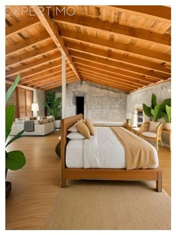 Épargnes (17120) Epargnes Maison 270 m² gros œuvre terminé Terrain environ 1098 m².