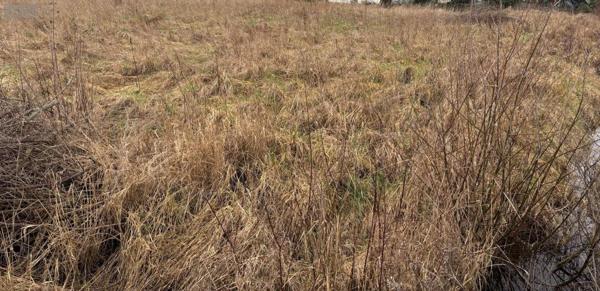 Terrain à Batir à vendre à Rue dans la Somme (80120), ref : 113/1765