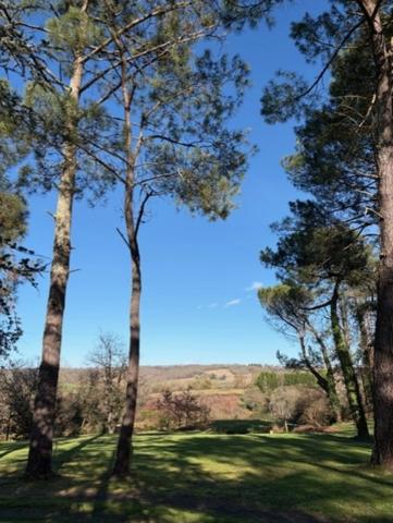 AIGNAN(32) : ELEGANTE MAISON des années 80, SANS TRAVAUX, 150m2 habitables, bien située à AIGNAN, sur 2.000m2, les commerces A PIED !