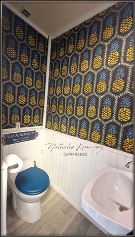 Maison meublée à vendre proche de VOUZIERS (08) avec jardin