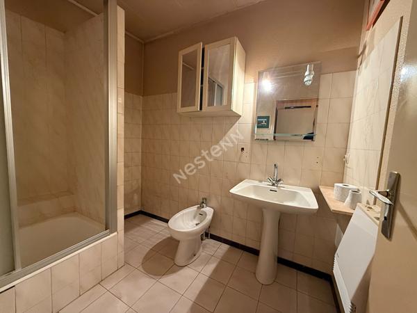 Appartement T2 Villeurbanne Gratte Ciel 69100, cuisine équipée, loggia, balcon, cave, cuisine US