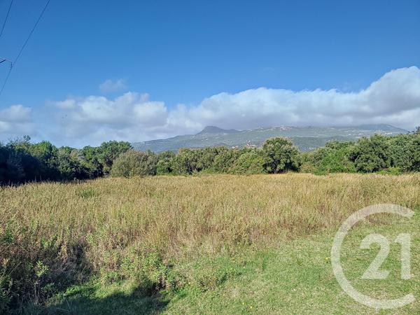 Terrain à vendre  12588 m2 FIGARI - 201