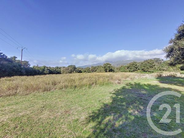 Terrain à vendre  12588 m2 FIGARI - 201