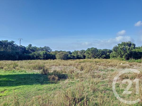 Terrain à vendre  12588 m2 FIGARI - 201