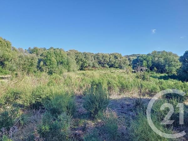 Terrain à vendre  12588 m2 FIGARI - 201