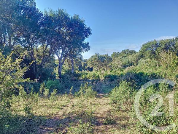 Terrain à vendre  12588 m2 FIGARI - 201