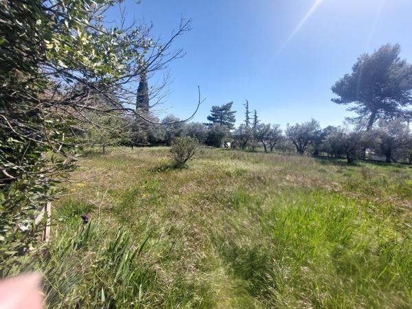 maison quartier du rieu avec possibilité de grand terrain constructible