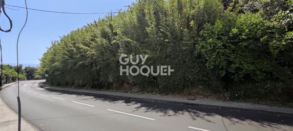 Terrain MONT VERT LES HAUTS - 1 300 m²