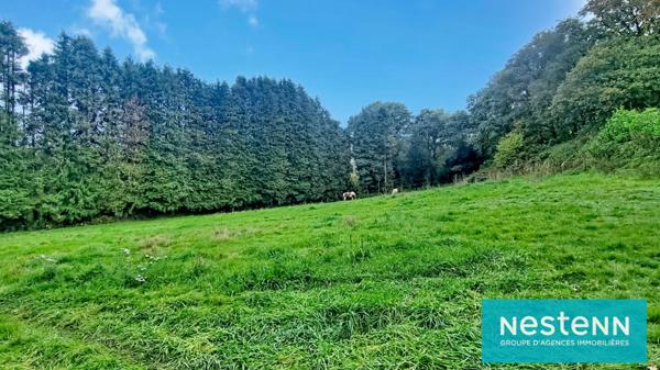 Maison Néo-Bretonne de plain pied, 4 chambres, à vendre à Plaintel dans un écrin de verdure et de sérénité